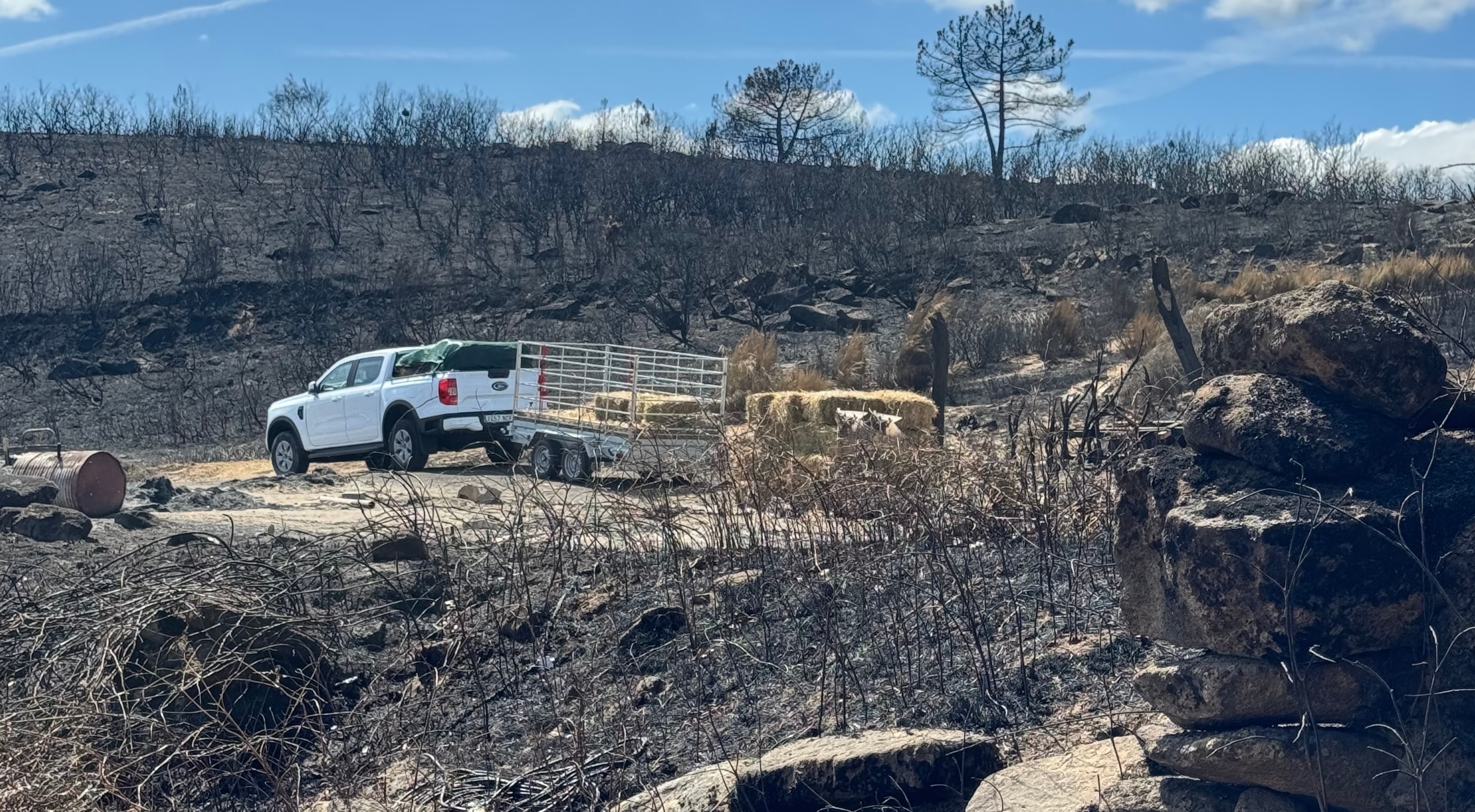 The extent of the fire damage clearly visible as Laura delivers hay bales. License valid for earned editorial, press releases, press kits. All non-broadcast digital and online media Region: Global. This content is solely for editorial use and for providing individual users with information. Any storage in databases, or any distribution to third parties within the scope of commercial use, or for commercial use is permitted with written consent from Ford in Europe GmbH only.